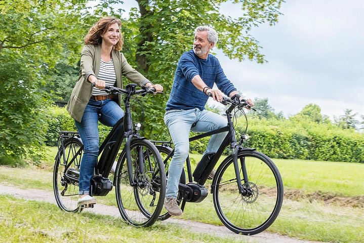 Wine Country E-Bike Guided Tour - w/o Lunch - Photo 1 of 2